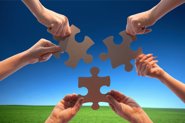 19 نکته درباره سگ شیبا اینو: زیبایی شرقی با روحیه‌ی مستقل