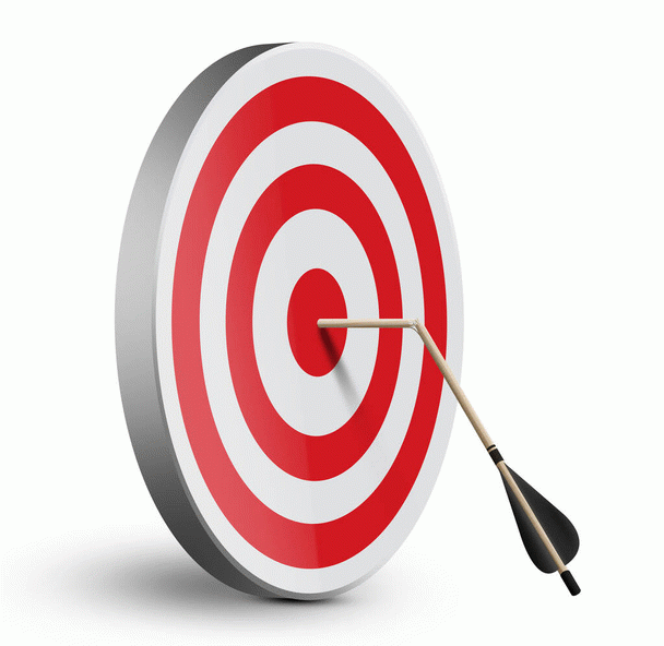 19 نکته کلیدی برای یک پت شاپ موفق و معرفی بهترین پت شاپ آنلاین ایران در سال 1398